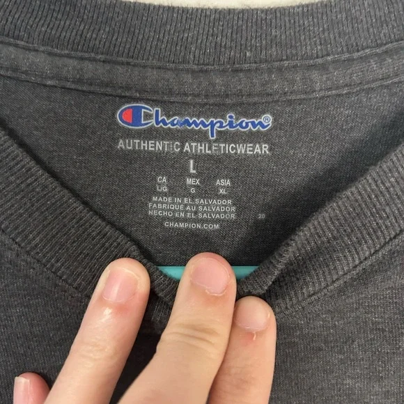 Champion Men's Gray T-Shirt, Size L - Picture 3 of 7